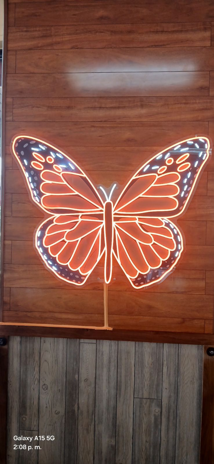 Butterfly