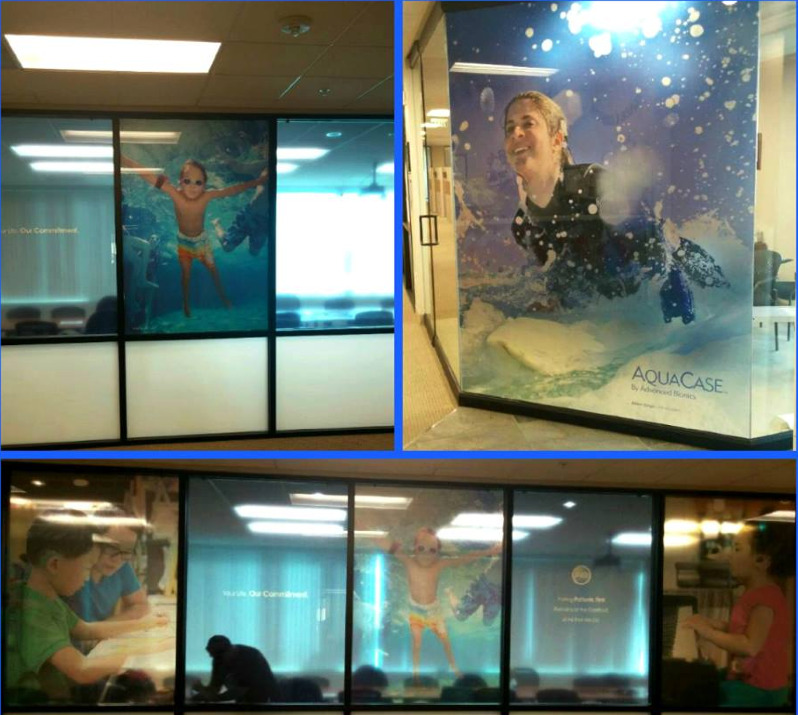 Window and wall graphics